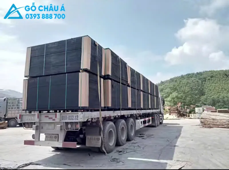 Vận chuyển gỗ dán phủ phim đến công trình nhanh chóng, an toàn