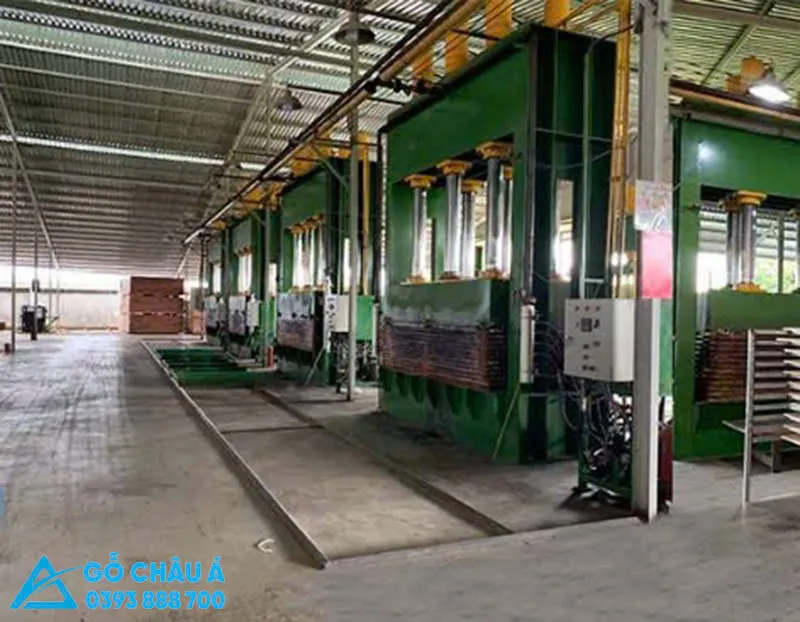 Gỗ dán phủ phim ứng dụng trong thi công nhà xưởng